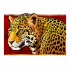 Leopardo